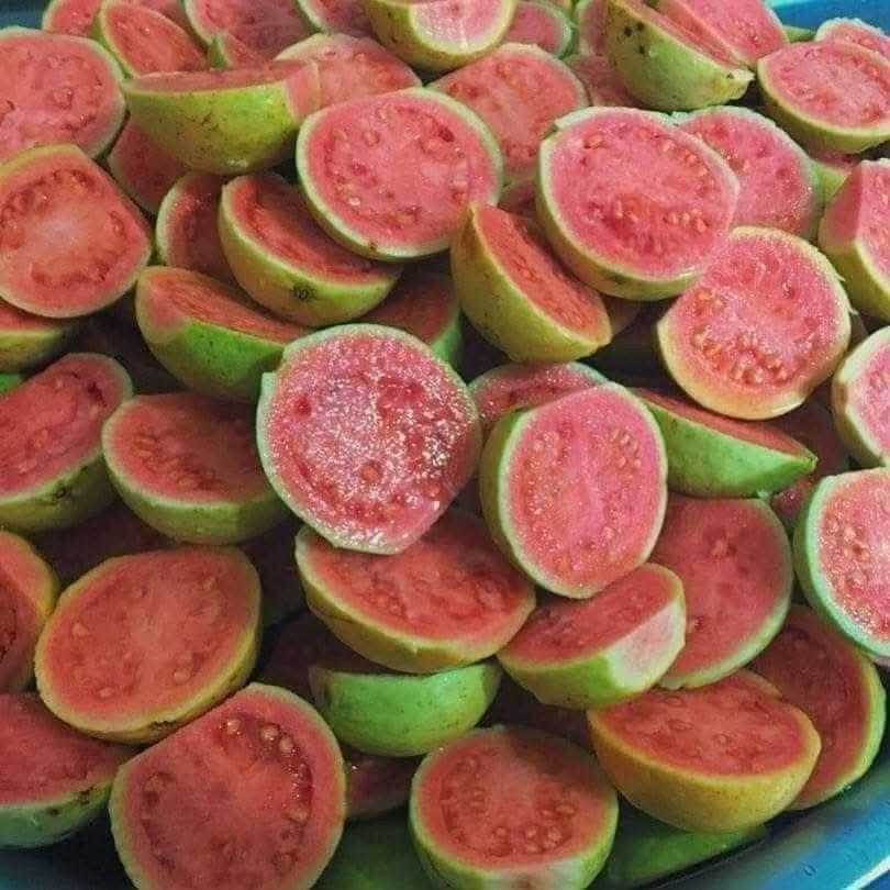 Buscando guayaba ando yo…